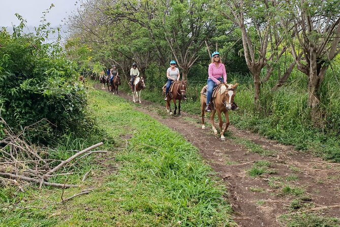 3 Hours Horseback Riding from Nature Trails to Sofa Stone - Pickup from your hotel or cruise port