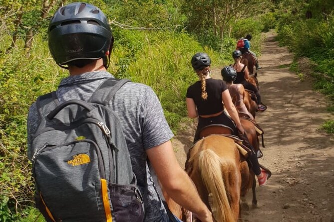 3 Hours Horseback Riding from Nature Trails to Sofa Stone - The climb through St. Kitts vegetation