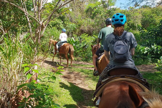 3 Hours Horseback Riding from Nature Trails to Sofa Stone - Reaching the high point and Sofa Stone