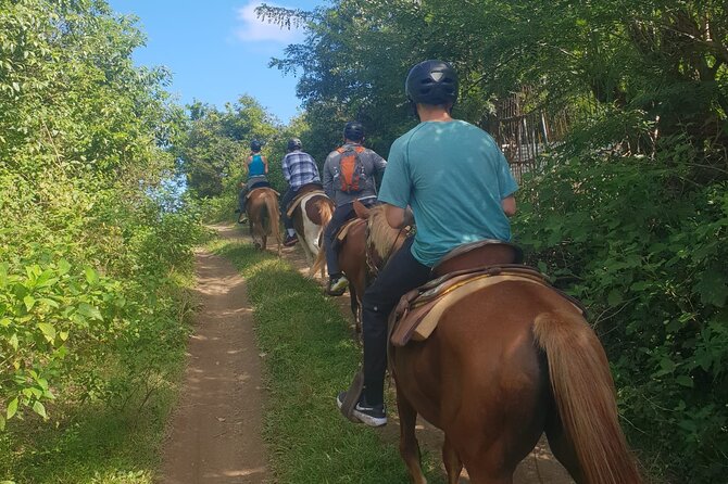 3 Hours Horseback Riding from Nature Trails to Sofa Stone - The ride back down the mountain