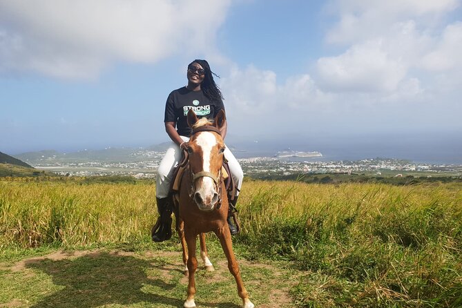 3 Hours Horseback Riding from Nature Trails to Sofa Stone - Is $97.50 a fair price?