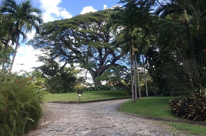 Basseterre Half Day Tour - The extra stops that may shape your day