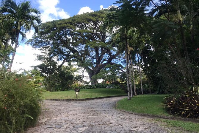 Basseterre Half Day Tour - What the $70 price really covers