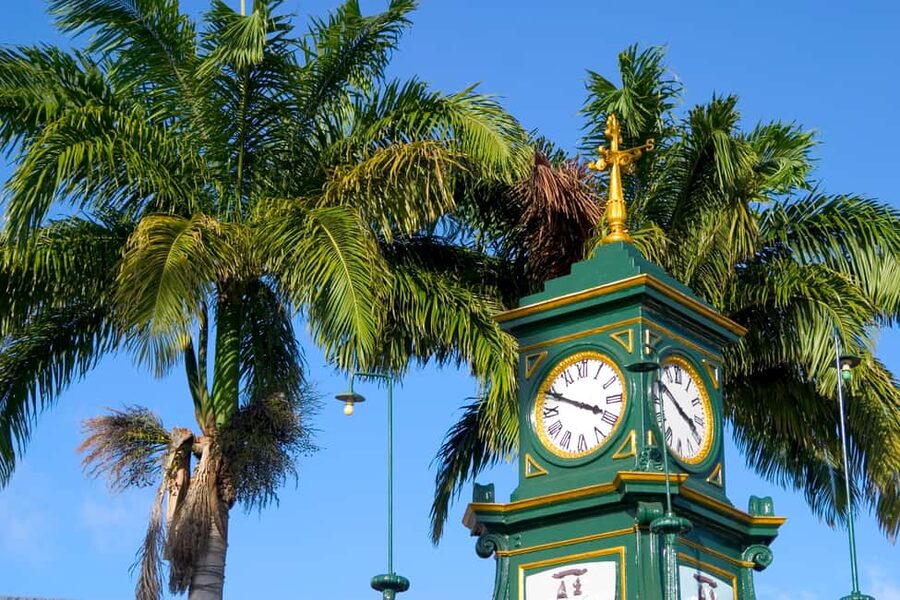 Basseterre: Highlights Capital and Beach Tour - Basseterre by minibus: useful orientation, limited walking