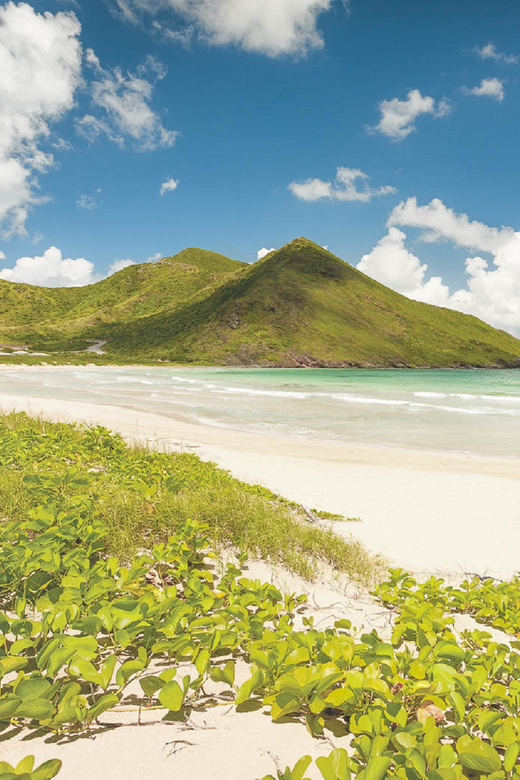 Basseterre: Highlights Capital and Beach Tour - How much value do you get for $37?