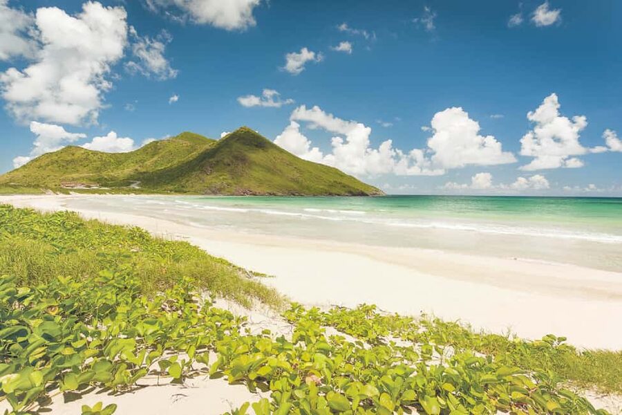 Basseterre: Highlights Capital and Beach Tour - Meeting Roosevelt at the St. Kitts dock
