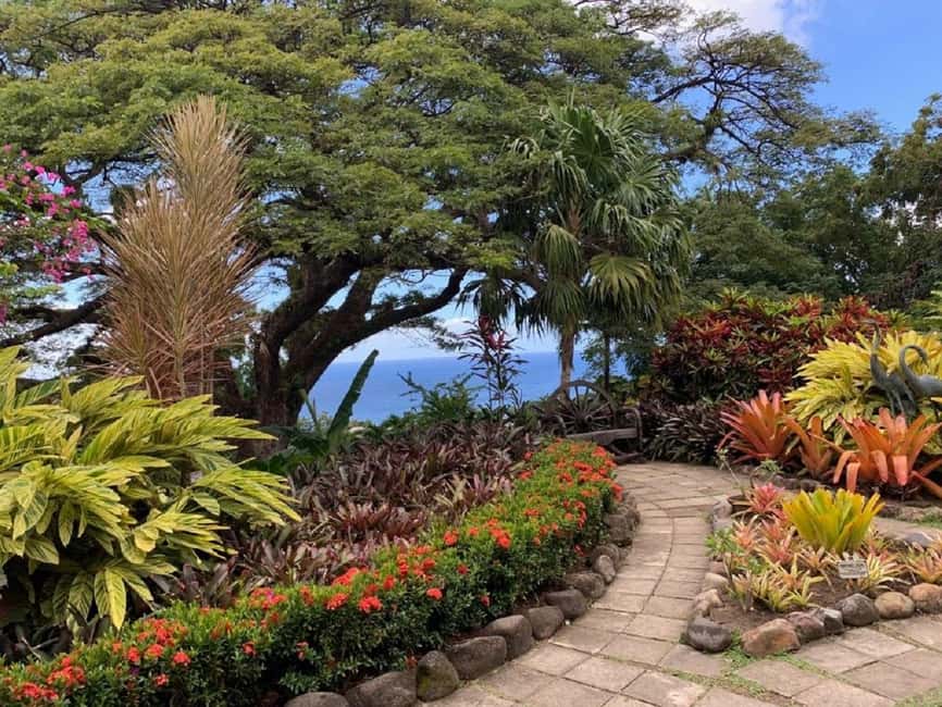 Basseterre: Plantation and Beach Extravaganza - Timothy Hill and the view between two coasts