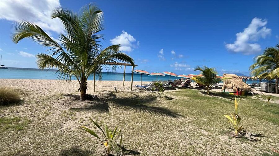 Basseterre: St. Kitts and Nevis Catamaran Tour with Lunch - Beach time and lunch on Nevis