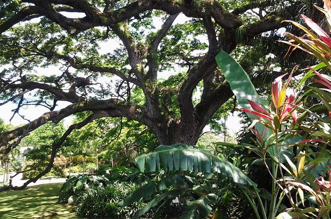 Best of St. Kitts Highlight Tour. - Who should book this St. Kitts tour?