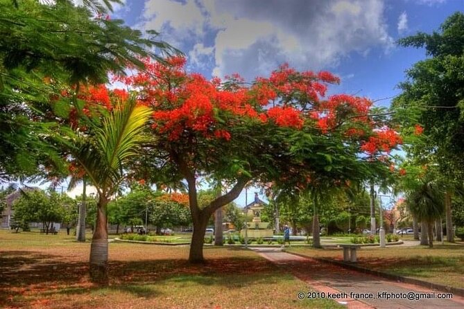 Best of St. Kitts Private Half Day Tour - Caribelle Batik: craft beside the manor