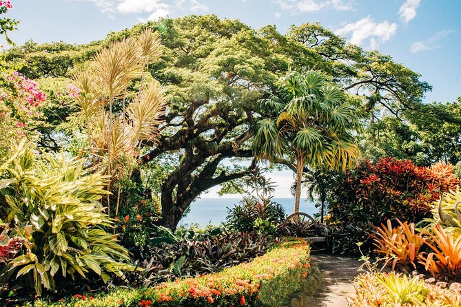 Best of St. Kitts Private Half Day Tour - Basseterre: a quick lesson in St. Kitts