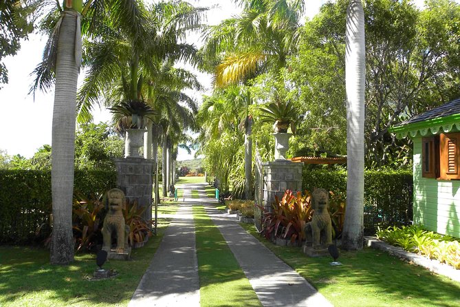 Discover Nevis, Island Tour (Private) - Why this private Nevis tour makes sense