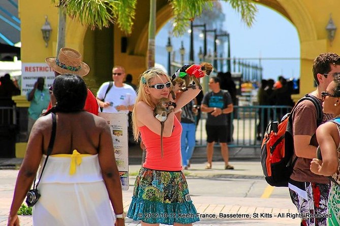 Full Island Panoramic Tour of St Kitts - Port Zante at 9:30 am