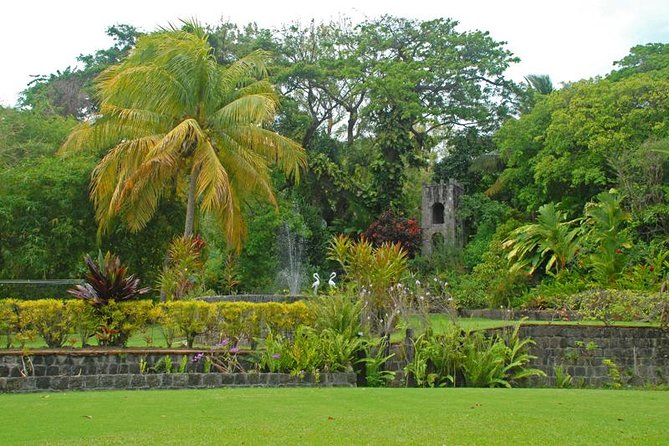 Full Island Private Tour - Wingfield Plantation and the start of the rainforest