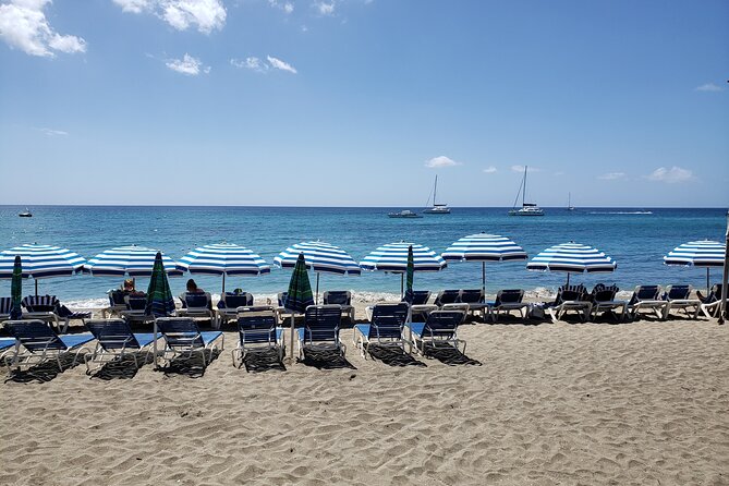 Half Day St. Kitts Party Bus City Excursion and Beach - What This St. Kitts Party Bus Actually Is