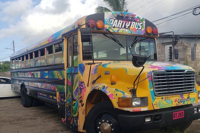 Half Day St. Kitts Party Bus City Excursion and Beach - Is the $38 Price Good Value?