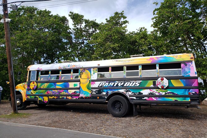 Half Day St. Kitts Party Bus City Excursion and Beach - Booking Details and Cancellation Rules