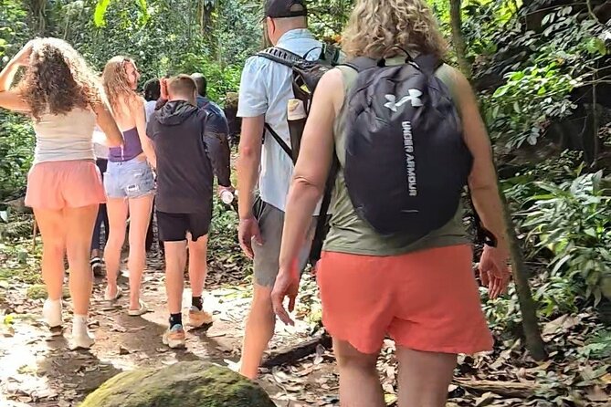 Half-Day St. Kitts Rainforest Hike - Key points to know before you go