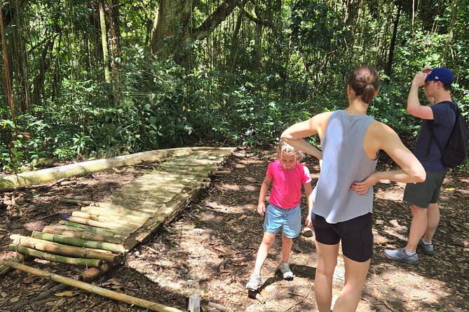 Half-Day St. Kitts Rainforest Hike - What the $71 price really buys you