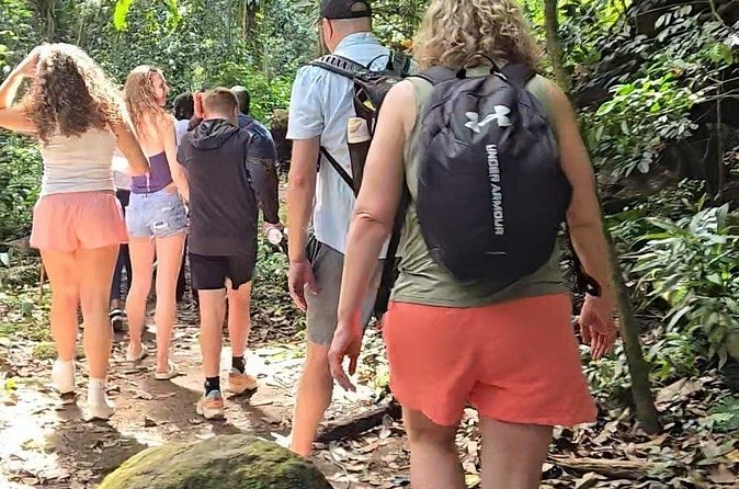 Half-Day St. Kitts Rainforest Hike - How intimate is the small-group format?