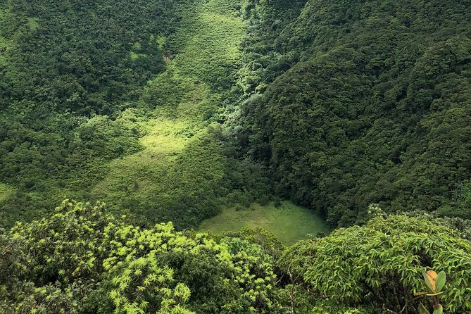 Hike St. Kitts: Highest peak Mount Liamuiga Volcano - The view from the crater area