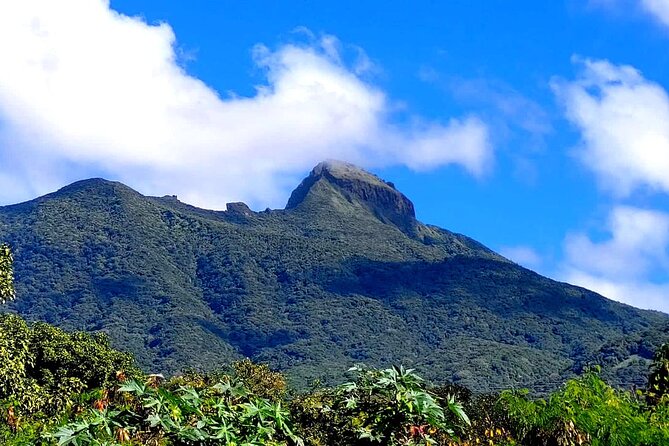 Hike St. Kitts: Highest peak Mount Liamuiga Volcano - Is the $109.99 price good value?