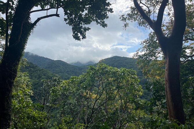 Hike St Kitts: Wingfield Rainforest and Romney Experience - The 1,100-foot viewpoint