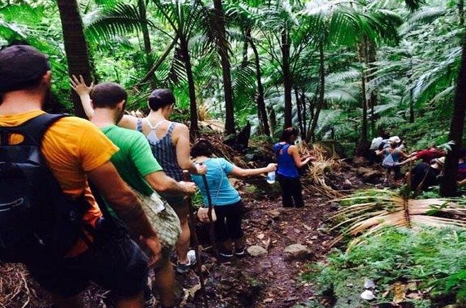 Hiking Mount Liamuiga Volcano in St Kitts - The volcano rim rewards the climb