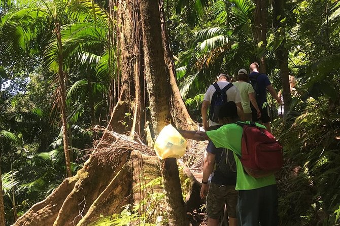 Hiking Mount Liamuiga Volcano in St Kitts - Booking and cancellation details