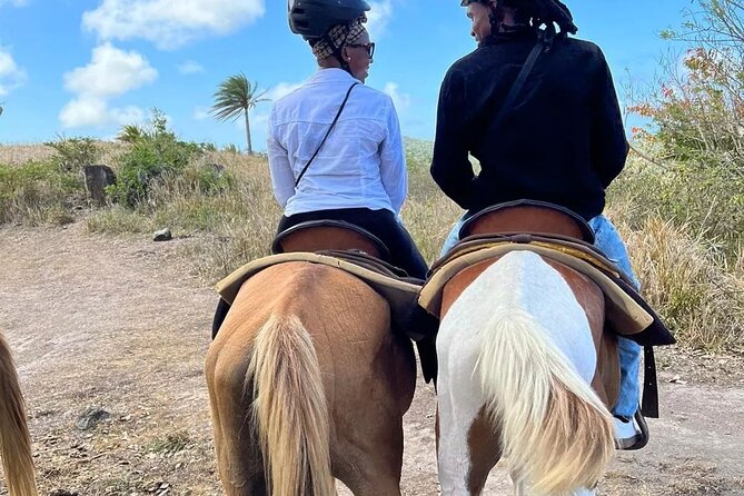 Horseback Riding, A Scenic Escape - Why this St. Kitts ride feels different