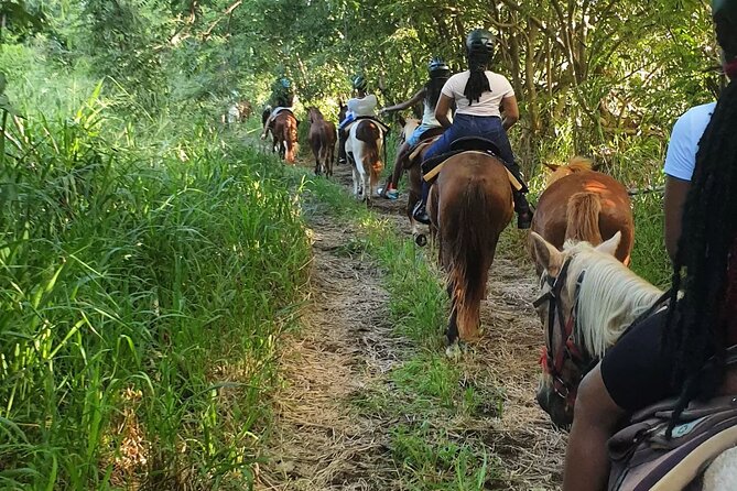 Horseback Riding, A Scenic Escape - Small groups, safety, and riding pace