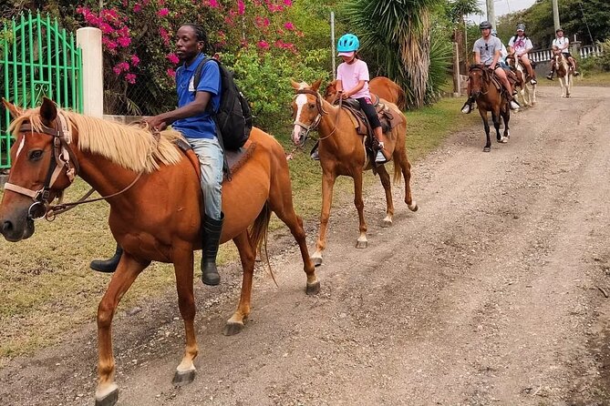 Horseback Riding, A Scenic Escape - Pickup timing and a little practical caution