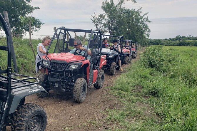 Jungle bikes Dune Buggy - Who will enjoy this best