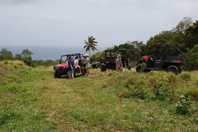 Jungle Bikes Dune Buggy & Beach Tours in St Kitts - Orientation, safety, and getting behind the wheel