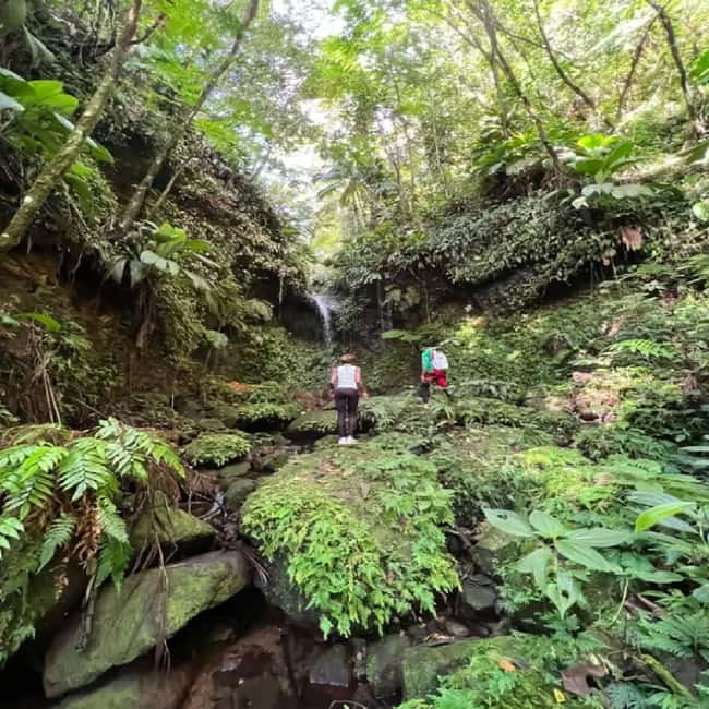 Lawyer Stephen Hike with Waterfall and Cave Hike - At a Glance: What Makes This Nevis Hike Different