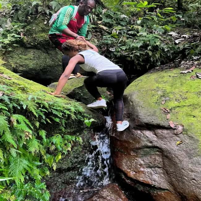 Lawyer Stephen Hike with Waterfall and Cave Hike - Starting at Olivees Mountain