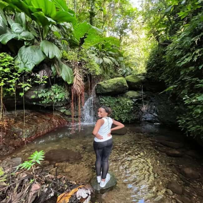 Lawyer Stephen Hike with Waterfall and Cave Hike - Reaching the First Waterfall