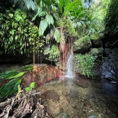 Lawyer Stephen Hike with Waterfall and Cave Hike