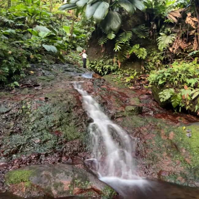 Lawyer Stephen Hike with Waterfall and Cave Hike - Booking Tips for a Better Day