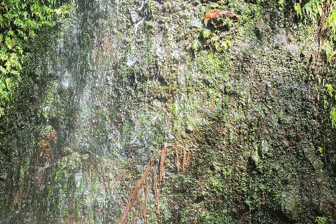 Lawyer Stephen’s Cave & Waterfalls Hike - The Southeast Peninsula and Its Wide Views