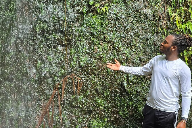 Lawyer Stephen’s Cave & Waterfalls Hike - What Is Included for $95