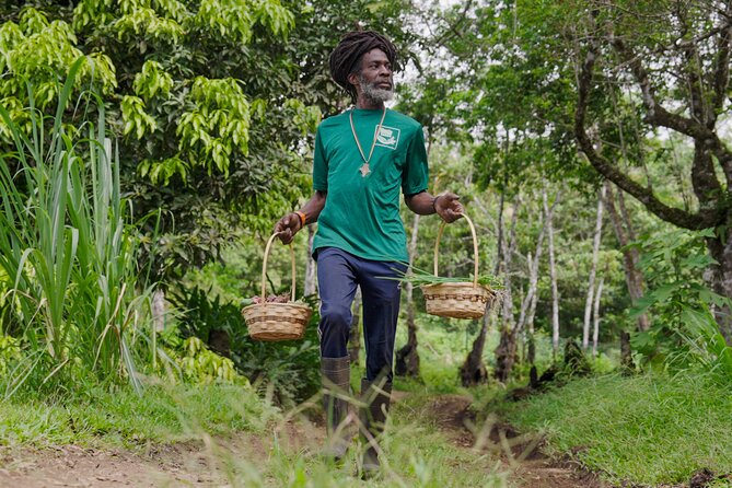 Liamuiga Natural Farm Tour - St.Kitts' Coffee Farm - A farm in the jungle, not a standard agricultural tour