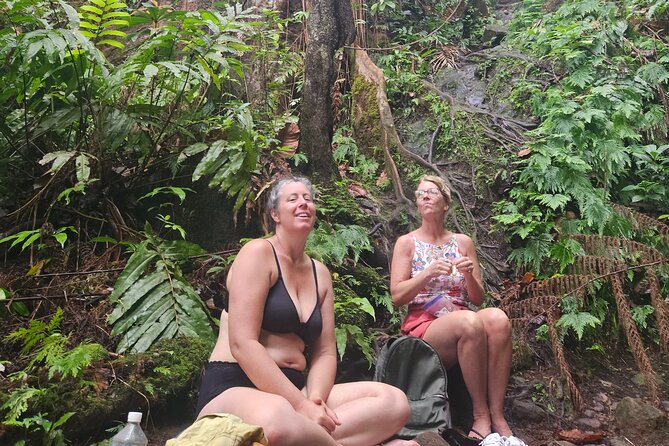 Mindfulness Rainforest Hike, Forest Bathing, Volcanic Hot Springs - Forest bathing, meditation, and quiet attention
