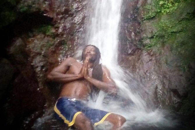 Mindfulness Rainforest Hike, Forest Bathing, Volcanic Hot Springs - The waterfall pool and cold plunge