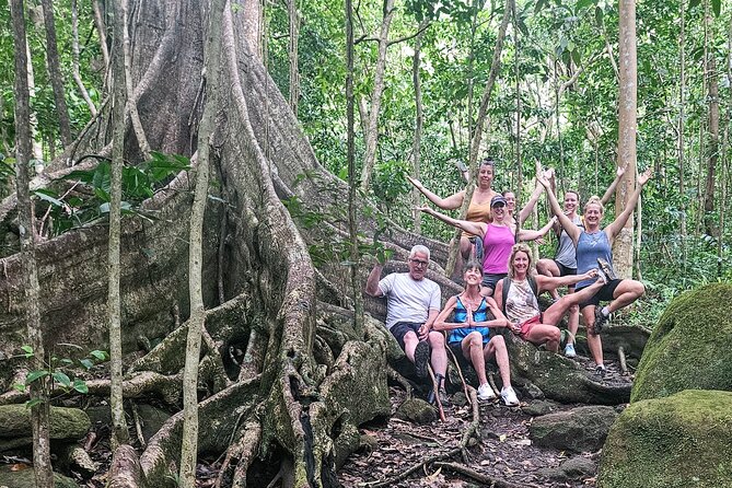 Mindfulness Rainforest Hike, Forest Bathing, Volcanic Hot Springs - Who should book this experience