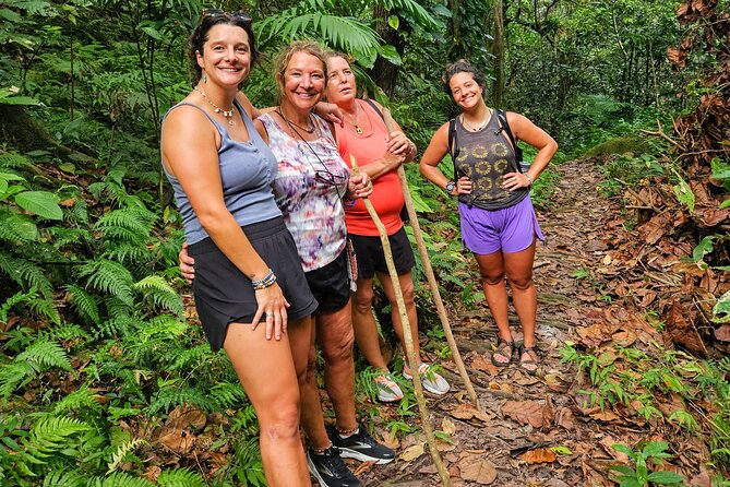 Mindfulness Rainforest Hike, Forest Bathing, Volcanic Hot Springs - Walking the rainforest at a thoughtful pace