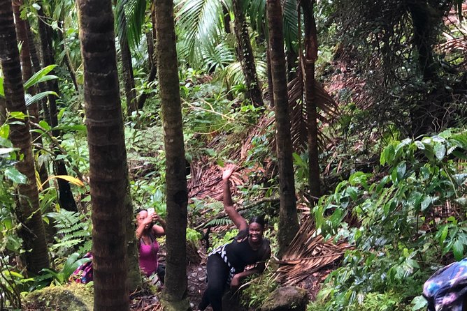 Mount Liamuiga Volcano Tours - Why Mount Liamuiga Matters Beyond the View
