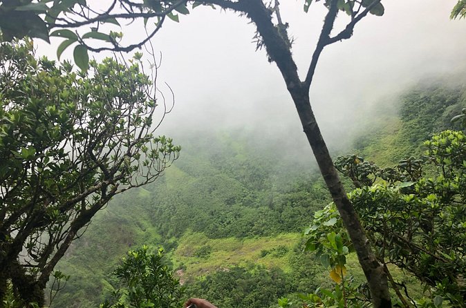 Mount Liamuiga Volcano Tours - What the Small Group Size Really Gives You
