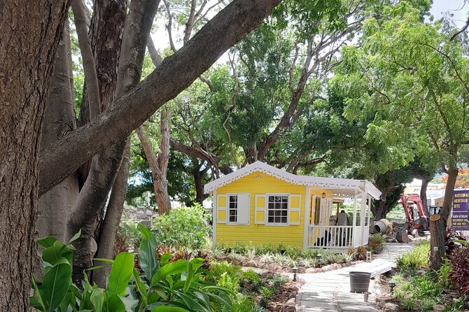 Nevis Hot Springs & Bath Village Heritage Experience - Bath Hotel and Spring House: 45 minutes of island history