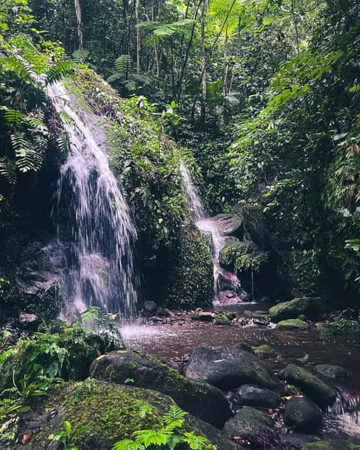Nevis Waterfalls/Russel's Rest Hike - Walking beneath palms, cocoa, and bamboo